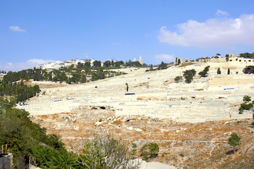 Ölberg vom Kidrontal